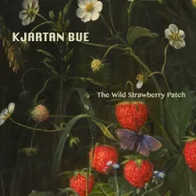 The Wild Strawberry Patch