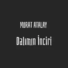 Dalımın İnciri