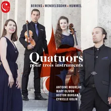 Gesellschafts-Quartett No. 3 in A Minor, Op. 72: No. 1, Allegro molto - Con brio - Presto