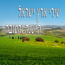 בין שלוש ובין ארבע