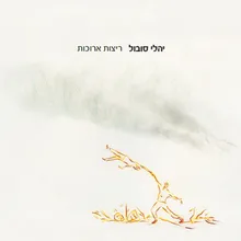 מהפכת קטיפה