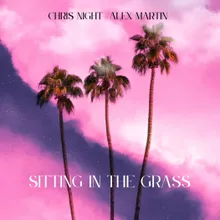 Sitting In The Grass-Instrumental