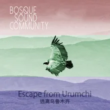 Escape from UrumcHi