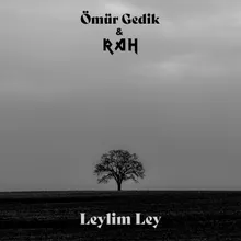 Leylim Ley Radio Edit