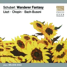 Fantasie in C Major “Wanderer”, Op. 15, D. 760: II. Adagio