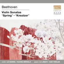Sonata for Piano and Violin No. 5 in F Major, Op. 24 "“Spring”": II. Adagio molto espressivo in F Major, Op. 24 "“Spring”": II. Adagio molto espressivo