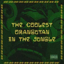 The Coolest Orngutan in the Jungle