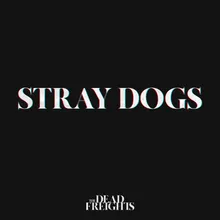 Stray Dogs