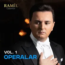 Nizaminin Ariyası Nizami Operası