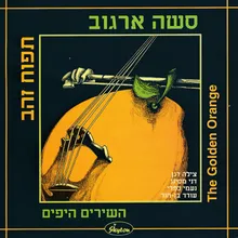 אדוני השופט