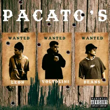 Pacato'S