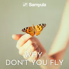 Why Don't You Fly