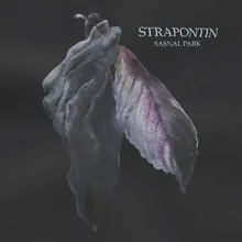 Sasnal Park Anatolian Weapons Remix