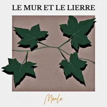 Le mur et le lierre