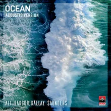 Ocean Acoustic Version