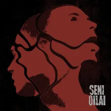 Seni oilai