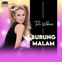 Burung Malam