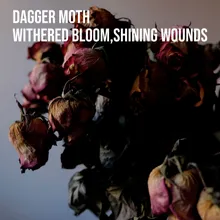 Withered bloom, shining wounds TEN!