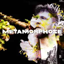 Metamorphose Pitch Edit