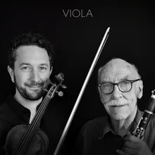 Viola