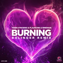 Burning Bolinger Remix