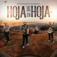 De Hoja En Hoja