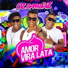 Amor Vira Lata