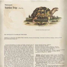 turtles trip