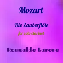 Die Zauberflöte  No. 13, Op. 24: II. Allegro