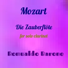 Die Zauberflöte  No. 13, Op. 24: V.Andantino