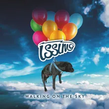 Walking on the Sky