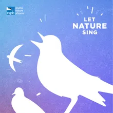 Let Nature Sing