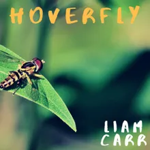 Hoverfly