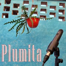 Plumita - LaCasaInvita: Vol.1
