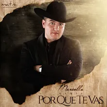 Porque Te Vas