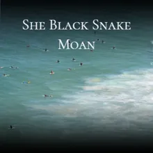 She Black Snake Moan