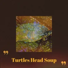 Turtles Head Soup
