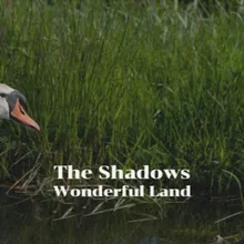 The Shadows  Wonderful Land