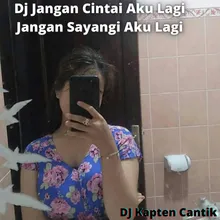 Dj Jangan Cintai Aku Lagi Jangan Sayangi Aku Lagi