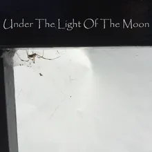 Under the Light of the Moon