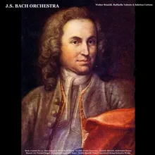 Concerto for Violin and Strings in D Major, Op. 3, No. 9, Rv 230 “l’ Estro Armonico”: II. Larghetto (Live)