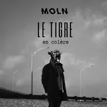 Le tigre en colère