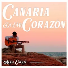 Canaria de Mi Corazón
