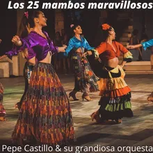 Popurri de Mambos 4: El Ruletero / Mambo No. 8 / Cerezo Rosa / Pachuco Bailarin / Mambo A La Kenton / Mambo Del Politecnico / Mambo De La Universidad