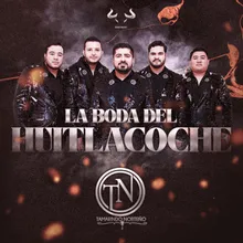 La Boda del Huitlacoche (En Vivo)