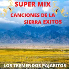 Super Mix Canciones De La Sierra