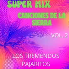 Super Mix Canciones De La Sierra, Vol. 2