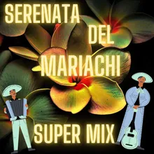 Super Mix Serenata Del Mariachi