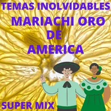 Super Mix Temas Inolvidables