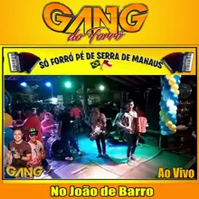 Zuar e Beber - GANG DO FORRÓ